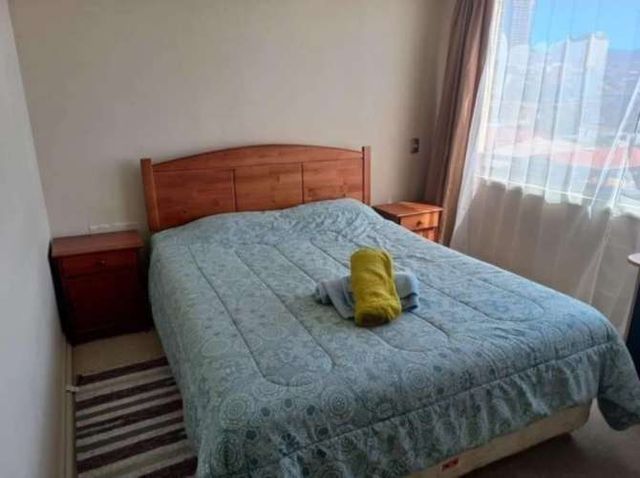 Gran Depto. por días Vacaciones y Año Nuevo