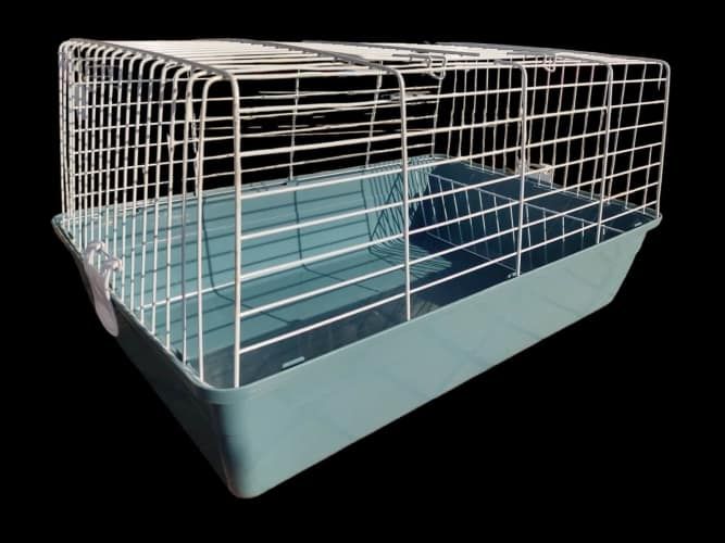 Erizo de tierra + jaula + alimento +