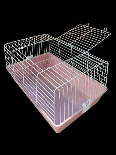 Erizo de tierra + jaula + alimento +