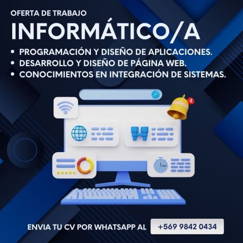 Informatico/a