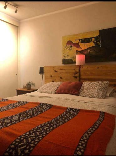 Excelente Depto 2D y terraza - Metro Almagro (134621)