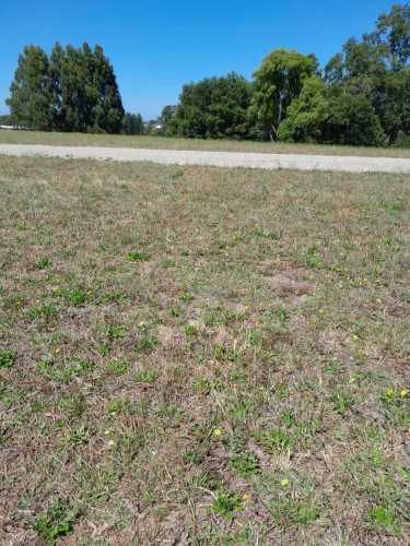 Venta Parcelas circuito Lago Ranco (134591)