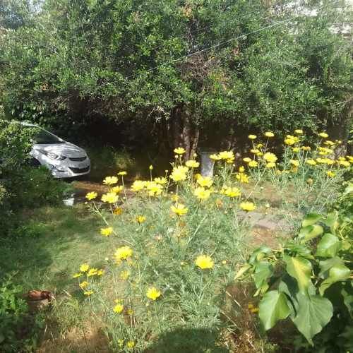 CASA Coihayque - San ignacio de Loyola