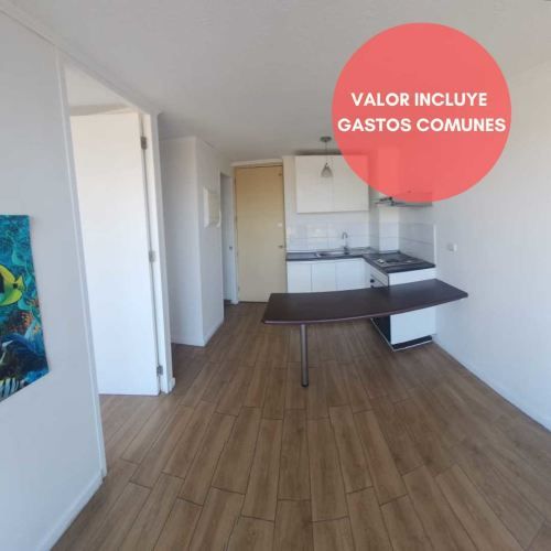 NO PAGA GASTO COMÚN (134638)