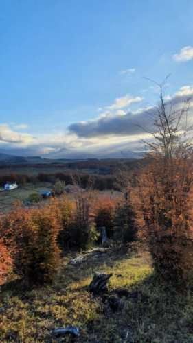 LIQUIDO PARCELA 10.000 MT2 COYHAIQUE CARRETERA AUSTRAL