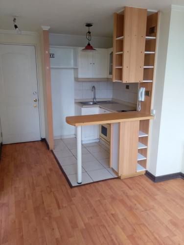 DEPARATAMENTO 1 DORMITORIO 1 BAÑO EN SUITE METRO SANTA LUCIA