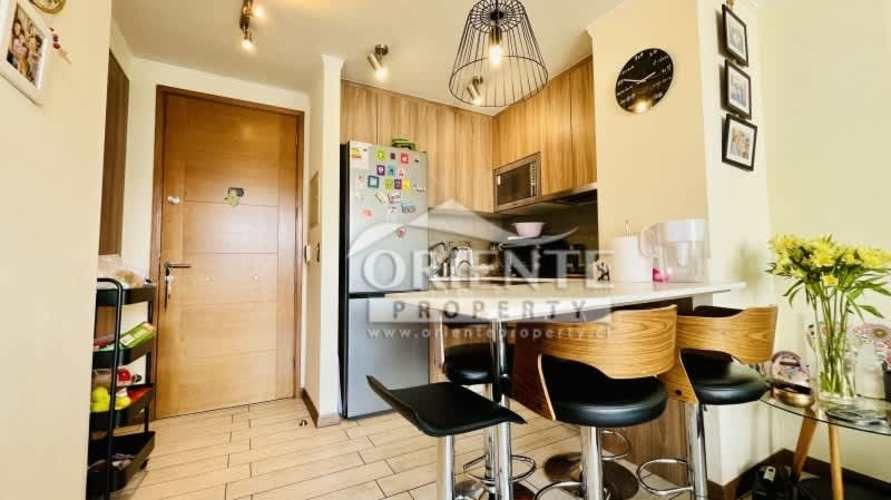 MODERNO SECTOR LAS TRANQUERAS LAS CONDES 1 DORMITO