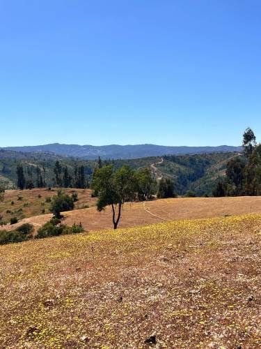 Terreno Amplio para Tu Proyecto Ideal (133128)