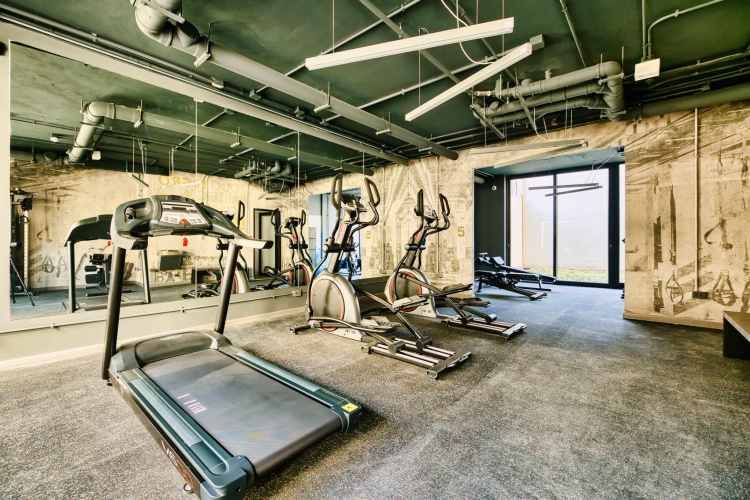 Vive Santa Isabel [2584-11]