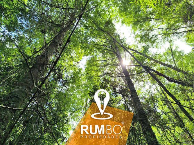 Cabaña 27m² en parcela Lliu Lliu