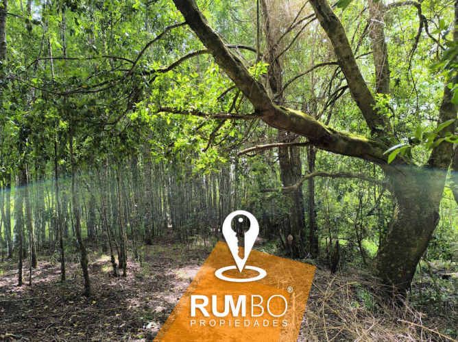 Cabaña 27m² en parcela Lliu Lliu