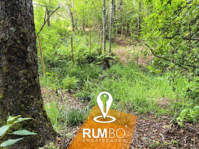 Cabaña 27m² en parcela Lliu Lliu