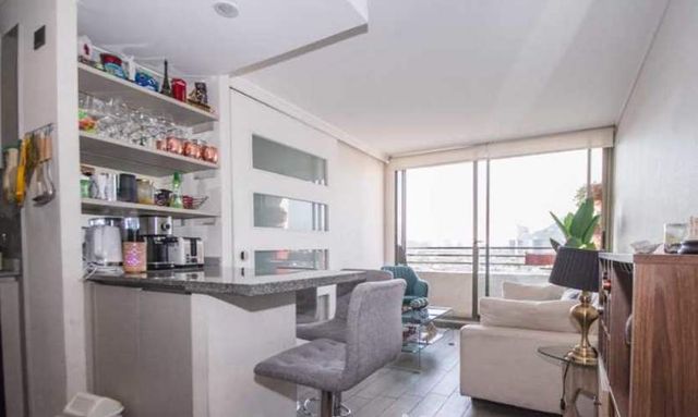 Amplio y Moderno Depto en Ñuñoa (134495)