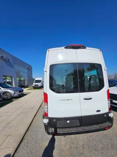 Ford transit 2024 Automatica