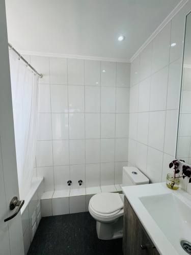 CONECTIVIDAD A SANTIAGO, CARRETERA SAN MARTIN, RUTA 5 Y AUTOPISTA NOR ORIENTE