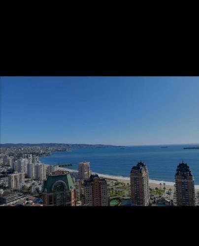 Céntrico departamento viña