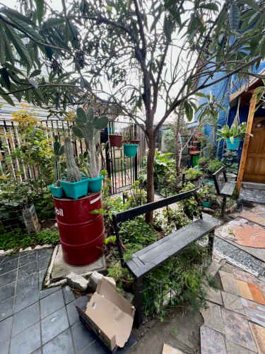 La Nogalada / Marcos Perez