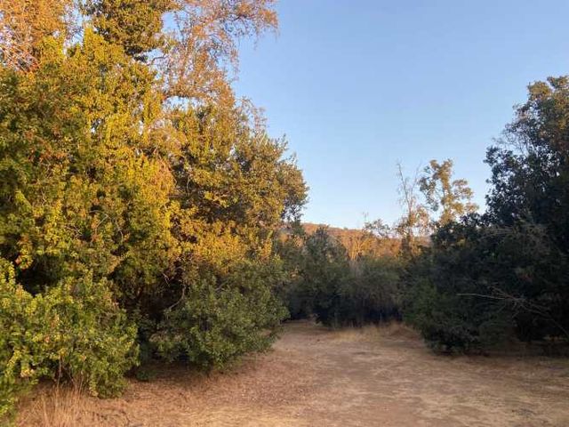 PARCELA PLANA 5000 M EN CULIPRAN-  NATURALEZA Y CONECTIVIDAD