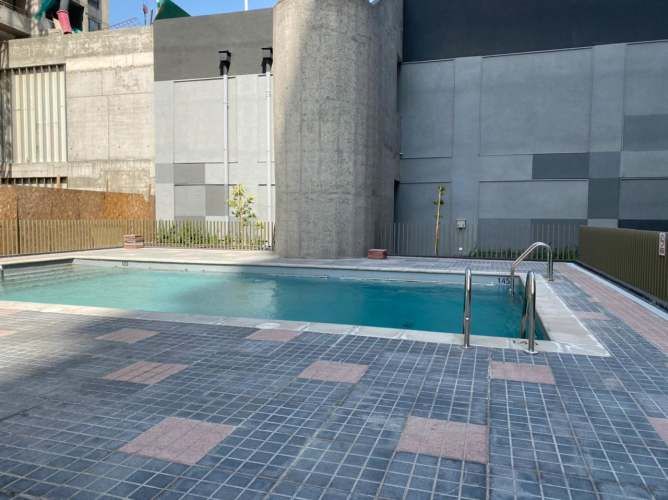 Matucana 1161 [1058-3]