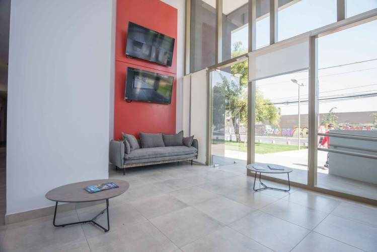 Matucana 1161 [1058-3]