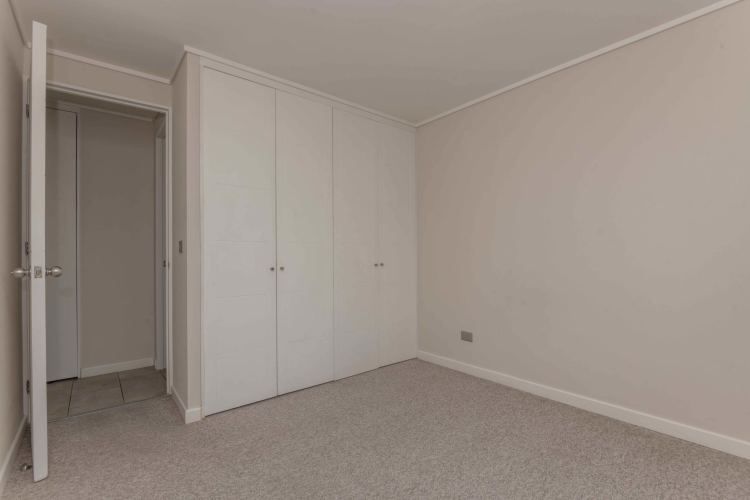 Matucana 1161 [1058-3]