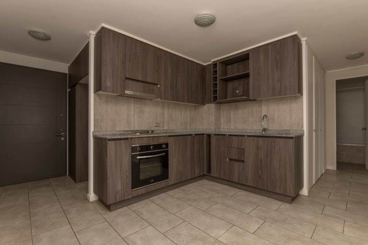 Matucana 1161 [1058-3]