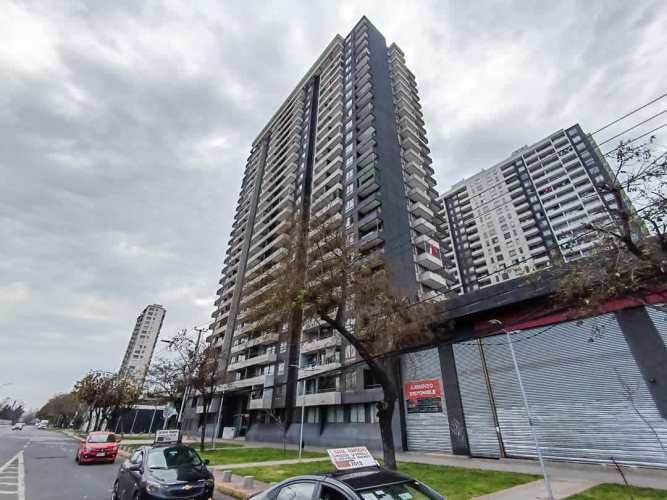 Matucana 1161 [1058-3]