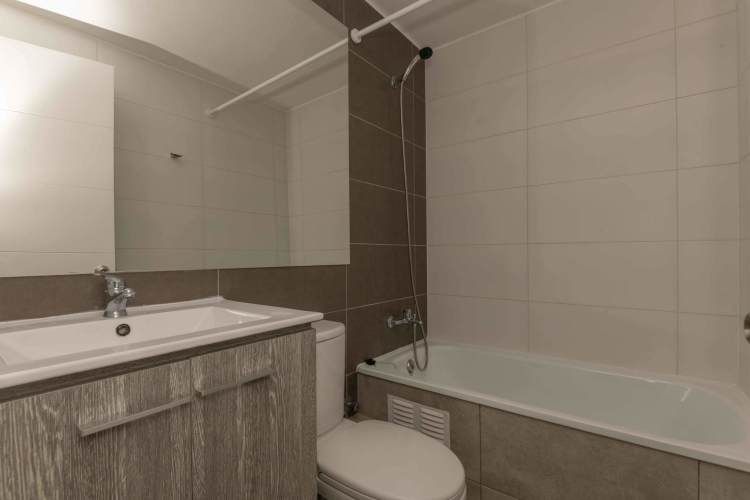 Matucana 1161 [1058-3]