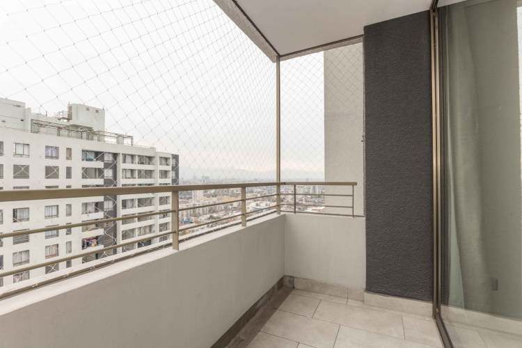 Matucana 1161 [1058-3]