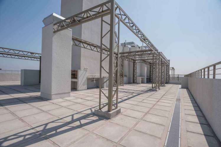 Matucana 1161 [1058-3]