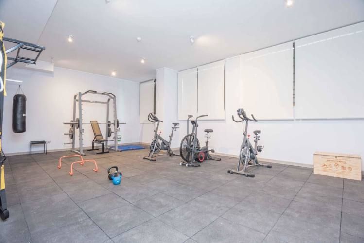 Matucana 1161 [1058-3]