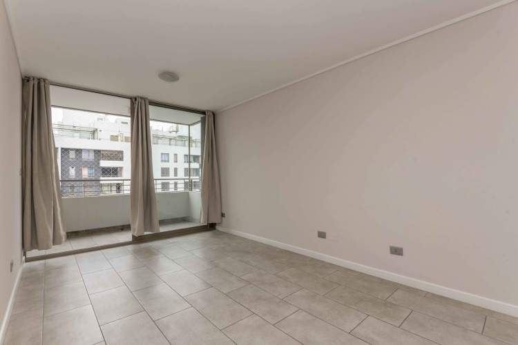 Matucana 1161 [1058-3]