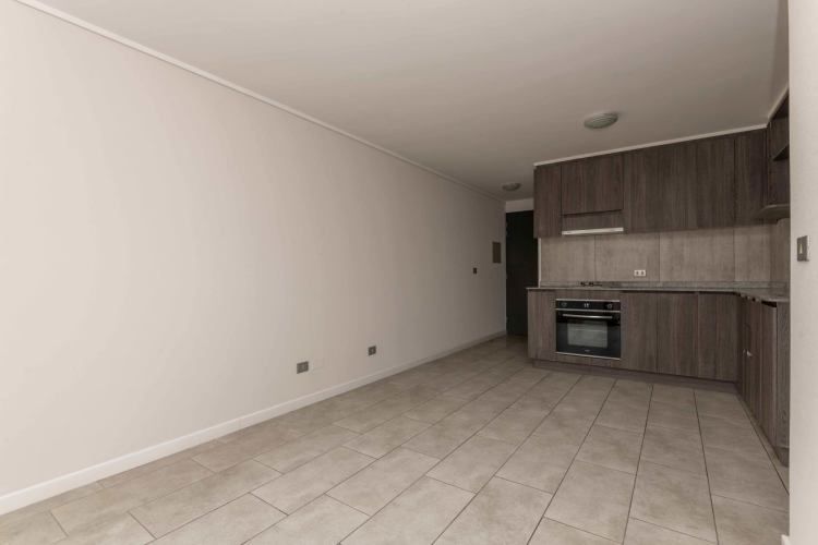 Matucana 1161 [1058-3]