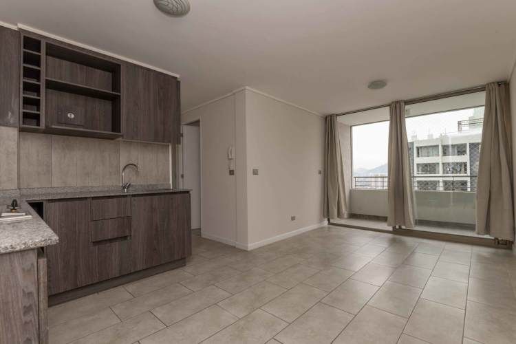 Matucana 1161 [1058-3]