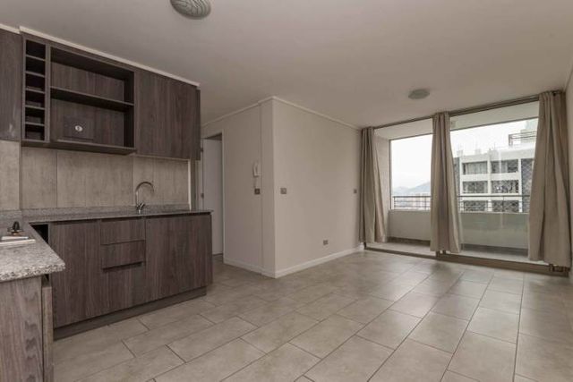 Matucana 1161 [1058-3]