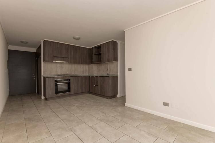 Matucana 1161 [1058-3]