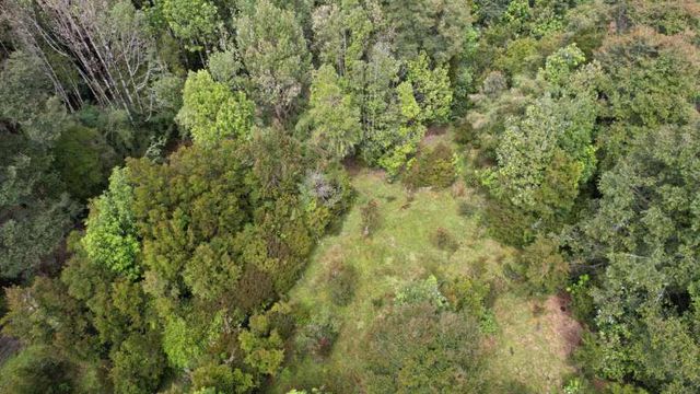 Parcelas Disfruta Pargua