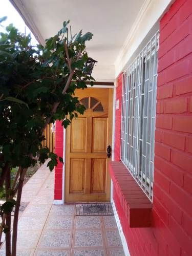 CASA Alerce/ Prof. Alcaino