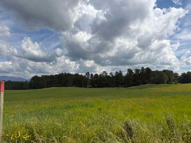 Verde Horizonte , Lanzamiento, Parcelas Agricolas