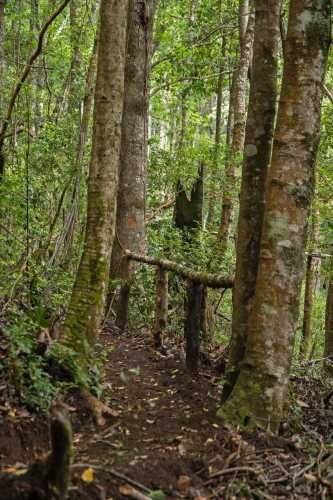 Verde Horizonte , Lanzamiento, Parcelas Agricolas