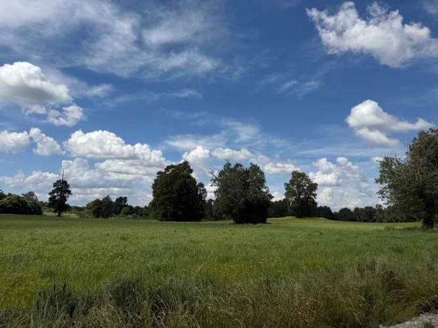 Verde Horizonte , Lanzamiento, Parcelas Agricolas