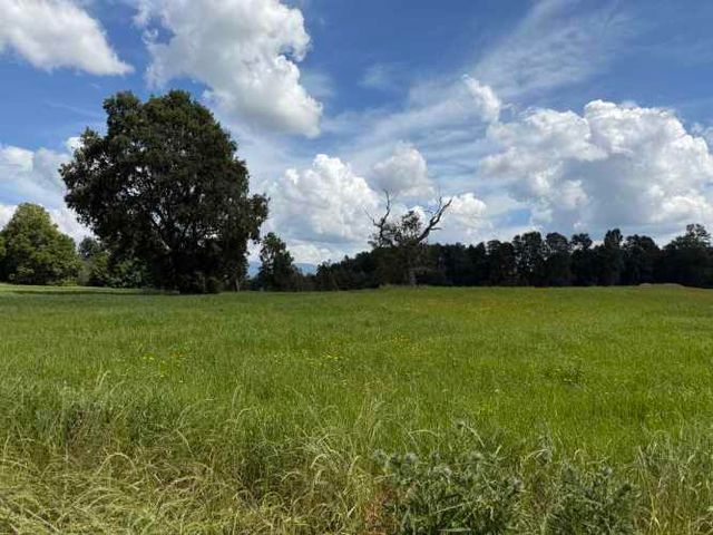 Verde Horizonte , Lanzamiento, Parcelas Agricolas