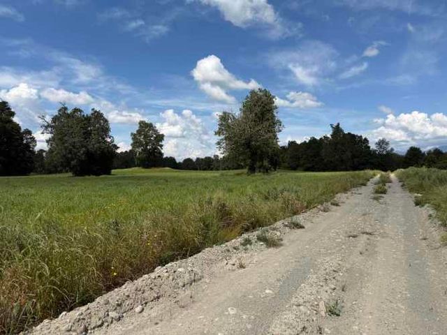 Verde Horizonte , Lanzamiento, Parcelas Agricolas