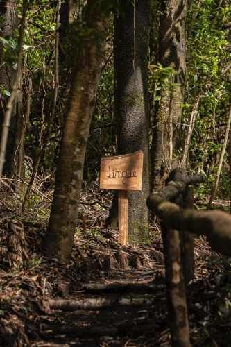 Verde Horizonte , Lanzamiento, Parcelas Agricolas