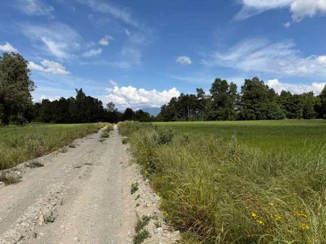 Verde Horizonte , Lanzamiento, Parcelas Agricolas
