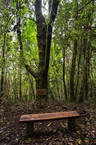 Verde Horizonte , Lanzamiento, Parcelas Agricolas