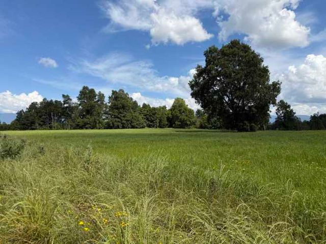 Verde Horizonte , Lanzamiento, Parcelas Agricolas