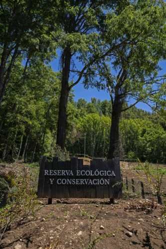 Verde Horizonte , Lanzamiento, Parcelas Agricolas