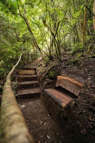 Verde Horizonte , Lanzamiento, Parcelas Agricolas
