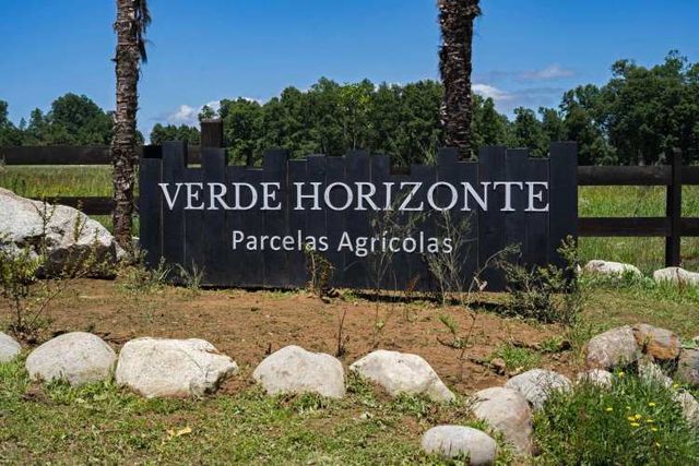 Verde Horizonte , Lanzamiento, Parcelas Agricolas